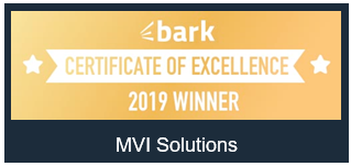 mvi-solutions-award-2019
